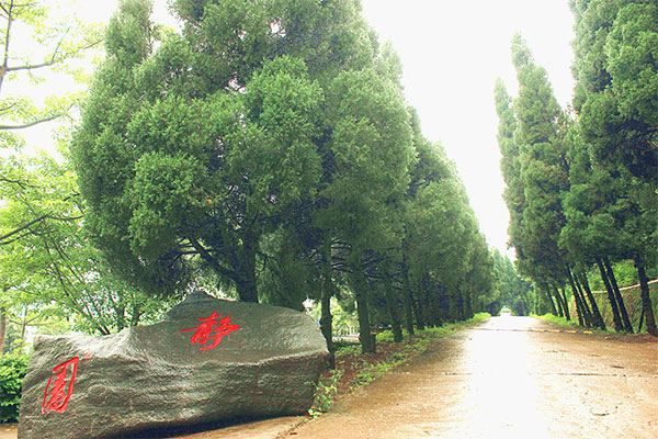 職業(yè)中學(xué)有哪些